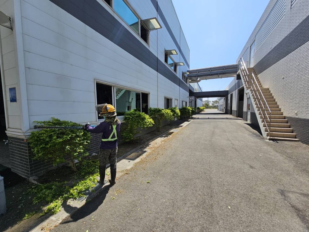 專業定期園藝維護服務，讓您的花園綻放生機