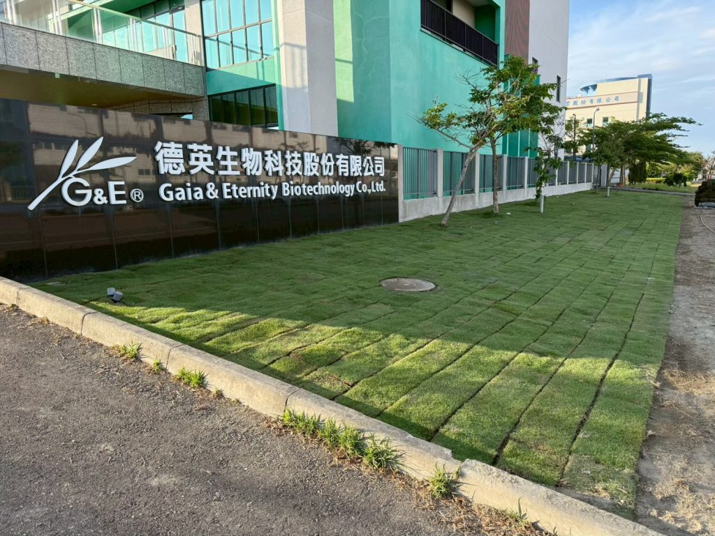 草皮鋪設完成後景觀成果