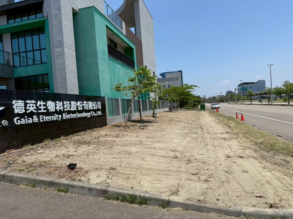 草皮鋪設完成前綠化