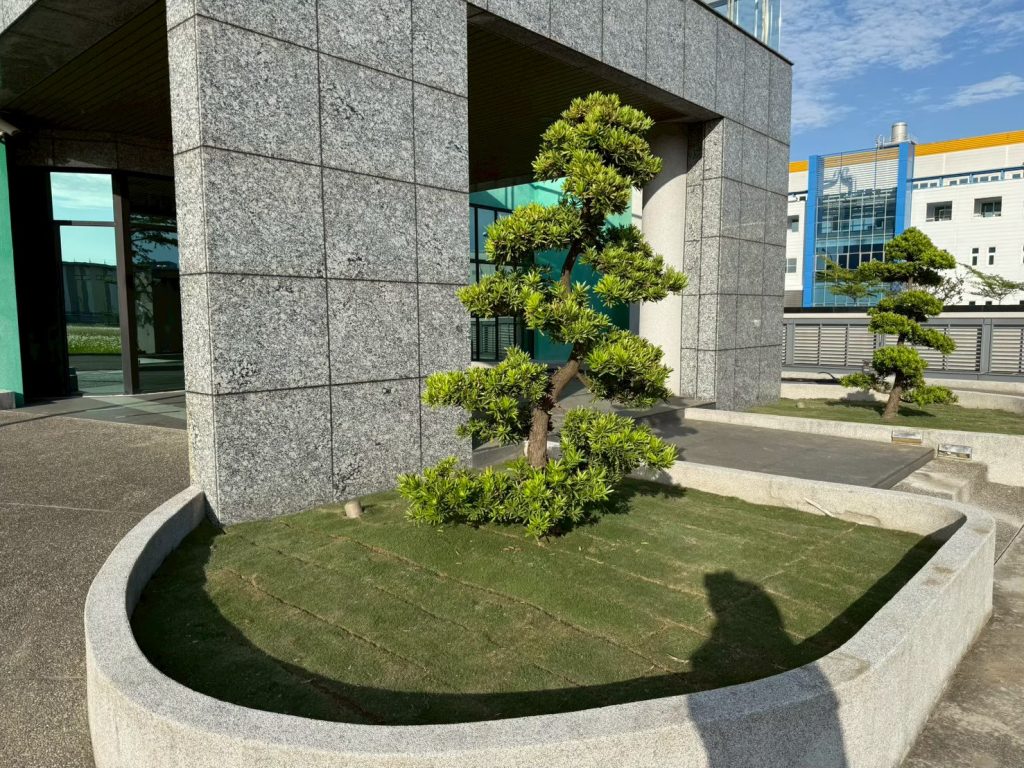 草皮鋪設完成後景觀成果